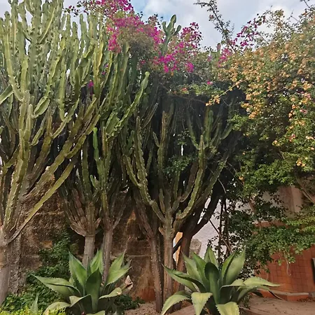 Il Carrubo Gallipoli