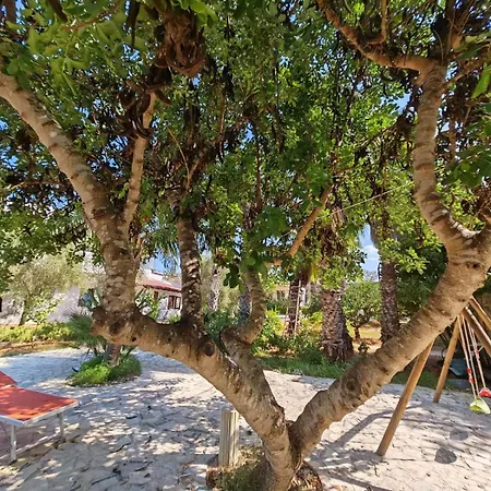 Casa vacanze Il Carrubo