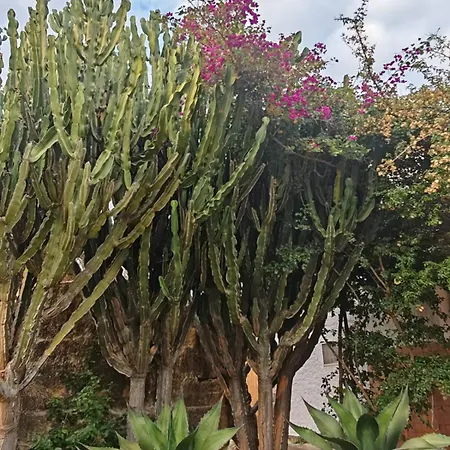 Il Carrubo Holiday home