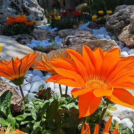 Holiday home Il Carrubo *