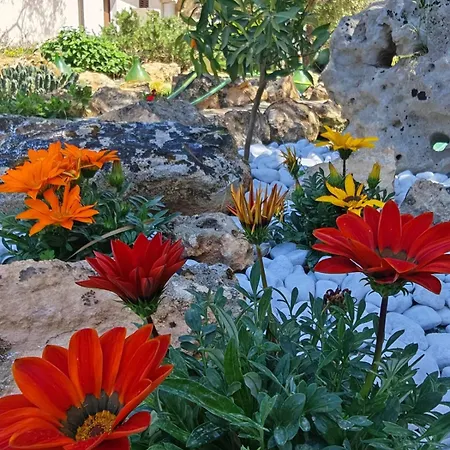 Dom wakacyjny Il Carrubo Gallipoli