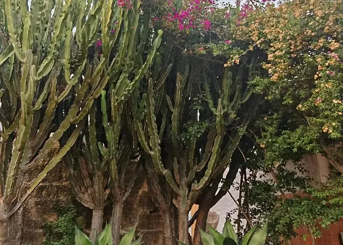 Il Carrubo Gallipoli