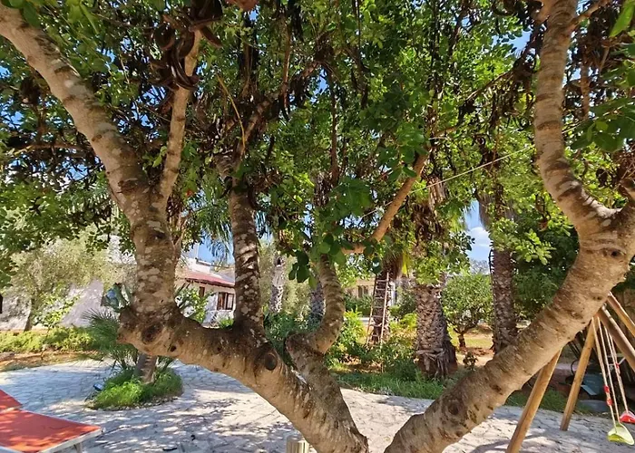 Casa vacanze Il Carrubo