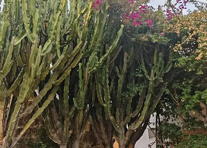 Il Carrubo Casa vacanze