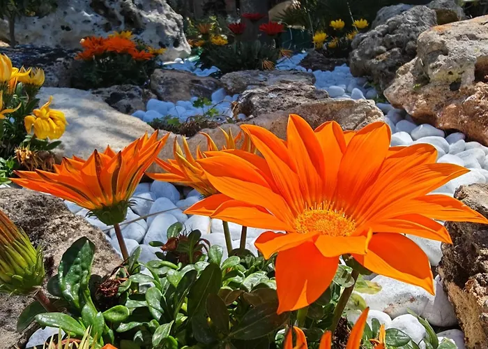 Casa vacanze Il Carrubo *