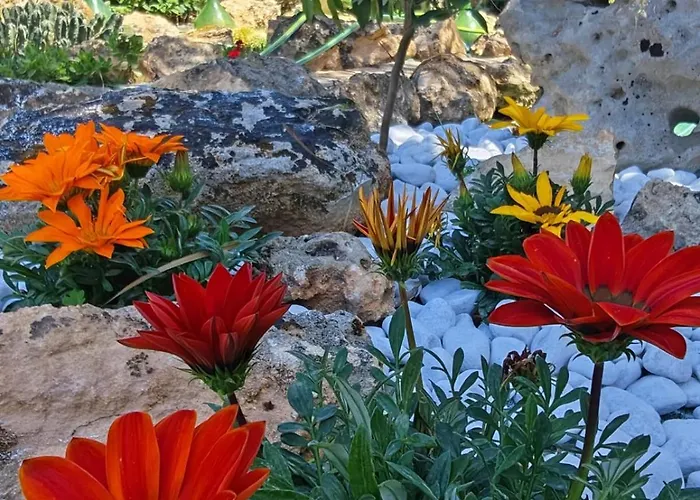 Casa vacanze Il Carrubo Gallipoli