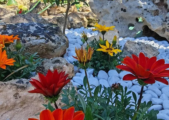 Il Carrubo Gallipoli