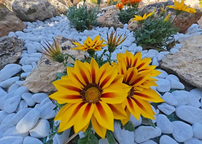 Casa vacanze Il Carrubo